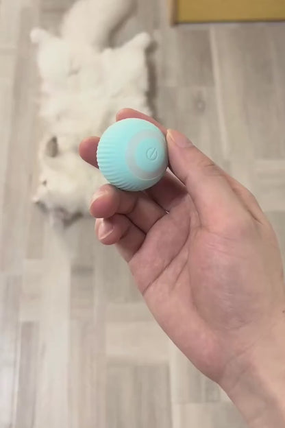 Automatic Cat Teaser Ball | Automatic Active Rolling Ball for Kitten & Dogs